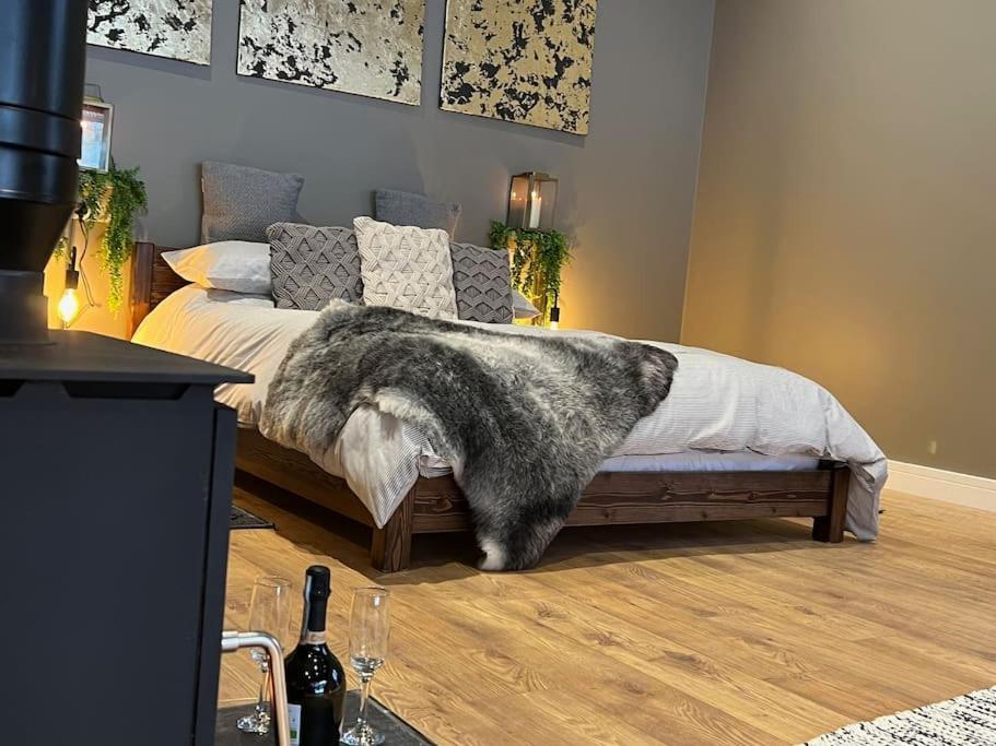 Vila Quirky, Luxury Hideaway Llanbrynmair Exteriér fotografie