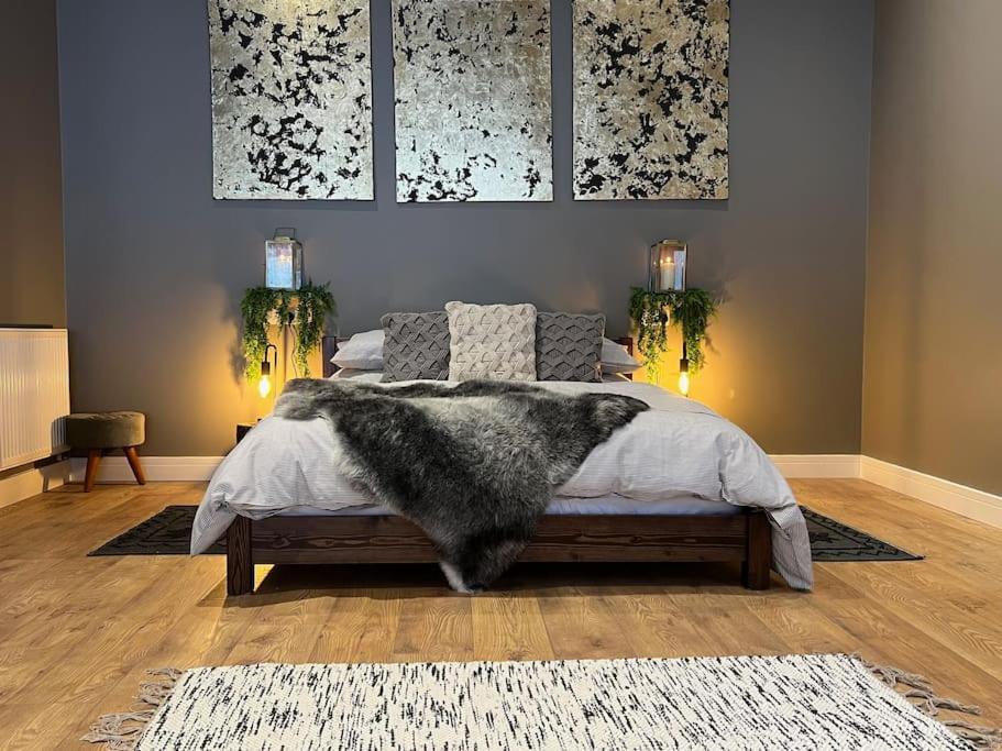 Vila Quirky, Luxury Hideaway Llanbrynmair Exteriér fotografie