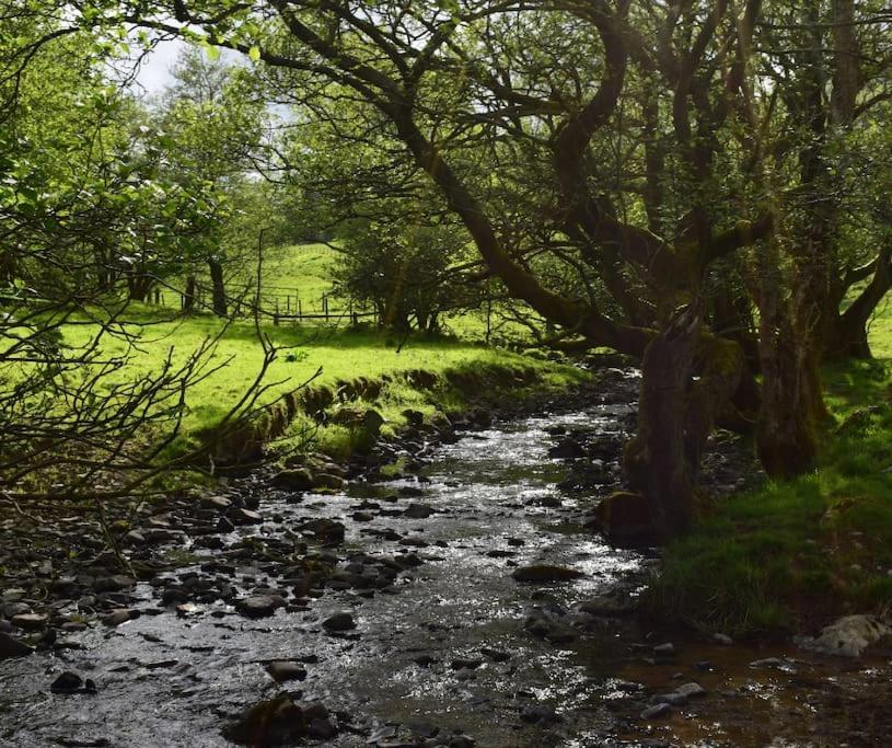 Vila Quirky, Luxury Hideaway Llanbrynmair Exteriér fotografie
